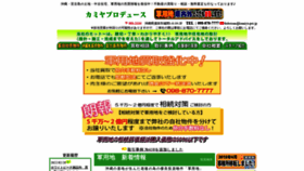 What Kamiya-pro.jp website looked like in 2022 (2 years ago)
