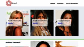 What Kmesh.io website looked like in 2022 (2 years ago)