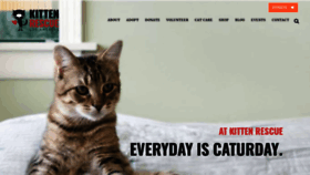 What Kittenrescue.org website looked like in 2022 (1 year ago)