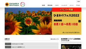 What K-bay.jp website looked like in 2022 (1 year ago)
