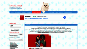 What Kotomatrix.ru website looked like in 2022 (3 years ago)