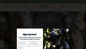 What Koala.net website looked like in 2022 (1 year ago)