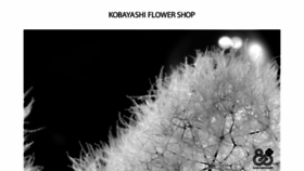 What K-flower.co.jp website looked like in 2022 (1 year ago)