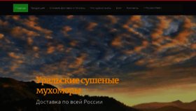 What Kupigribov.ru website looked like in 2023 (1 year ago)