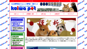 What Koiwa-pet.jp website looked like in 2023 (1 year ago)