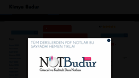 What Kimyabudur.com website looked like in 2023 (1 year ago)