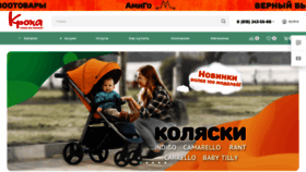 What Kroha29.ru website looked like in 2023 (1 year ago)