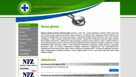 What Kzlo.pl website looked like in 2023 (1 year ago)