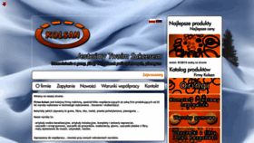 What Kolsan.pl website looked like in 2023 (1 year ago)