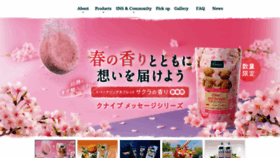 What Kneipp.jp website looked like in 2023 (2 years ago)