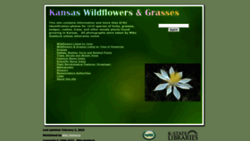 What Kswildflower.org website looked like in 2023 (1 year ago)
