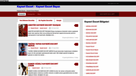 What Kayseripartner.com website looked like in 2023 (1 year ago)