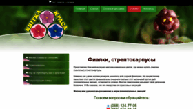 What Kvitka-krasa.com.ua website looked like in 2023 (1 year ago)