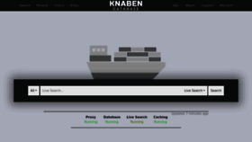 What Knaben.co website looked like in 2023 (This year)
