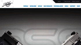 What Kimberamerica.com website looked like in 2023 (This year)