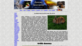 What Kazior5.pl website looked like in 2023 (This year)