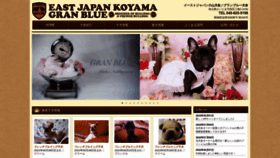 What Koyamabull.jp website looked like in 2023 (This year)