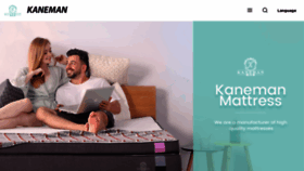 What Kanemanmattress.com website looked like in 2023 (This year)