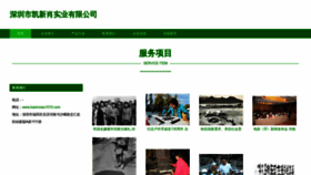 What Kaixinxiao1010.com website looked like in 2023 (This year)