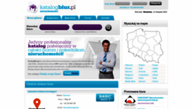 What Katalogbiur.pl website looked like in 2023 (This year)