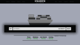 What Knaben.eu website looked like in 2023 (This year)