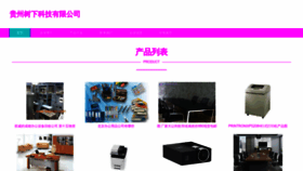 What Kvclgyy.cn website looked like in 2023 (This year)