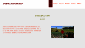 What Kmlqzlm.cn website looked like in 2023 (This year)
