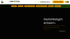 What Kobzarenko.ru website looked like in 2023 (This year)
