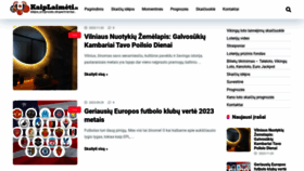 What Kaiplaimeti.lt website looked like in 2023 (This year)