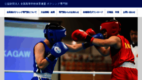 What Koukou-boxing.com website looks like in 2024 