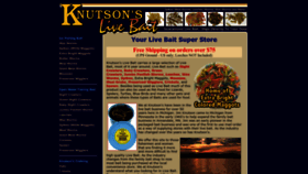 What Knutsonlivebait.com website looks like in 2024 