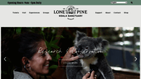 What Koala.net website looks like in 2024 
