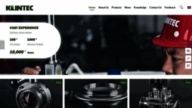 What Klintec-valve.com website looks like in 2024 