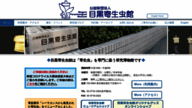 What Kiseichu.org website looked like in 2024 (1 year ago)
