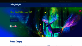 What Kingbrightusa.com website looks like in 2024 