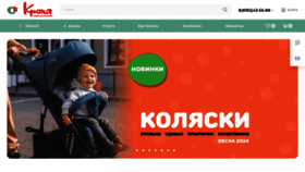What Kroha29.ru website looks like in 2024 