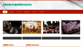 What Kaopuzp.cn website looks like in 2024 