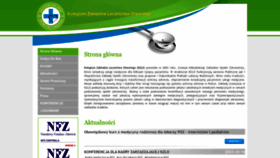 What Kzlo.pl website looks like in 2024 