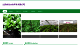 What Kxinyun.com website looks like in 2024 