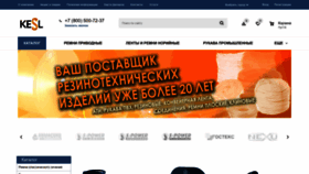 What Kesl.ru website looks like in 2024 