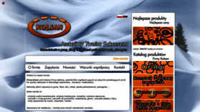 What Kolsan.pl website looks like in 2024 