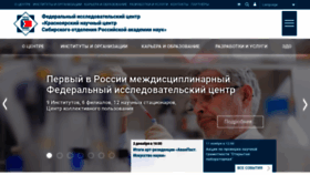 What Krasn.ru website looks like in 2024 