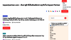 What Kayseripartner.com website looks like in 2024 