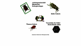 What Koleopterologie.de website looks like in 2024 
