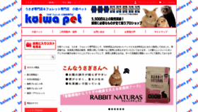 What Koiwa-pet.jp website looks like in 2024 