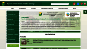 What Kpodr.pl website looks like in 2024 