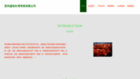 What Kvqmtan.cn website looks like in 2024 