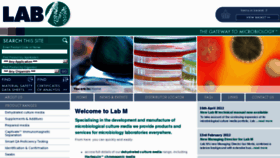 What Labm.com website looked like in 2012 (12 years ago)