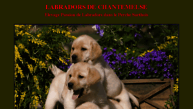 What Labradors-dog.com website looked like in 2012 (11 years ago)