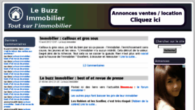 What Le-buzz-immobilier.com website looked like in 2013 (10 years ago)